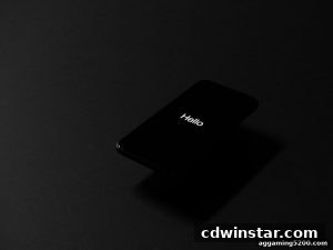 AG真人 cdwinstar