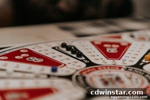 AG真人 cdwinstar