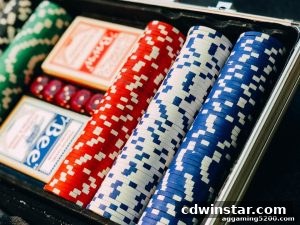 AG真人 cdwinstar