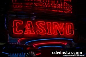 AG真人 cdwinstar