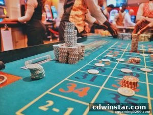 AG真人 cdwinstar