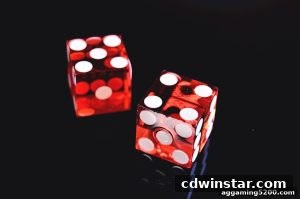 AG真人 cdwinstar